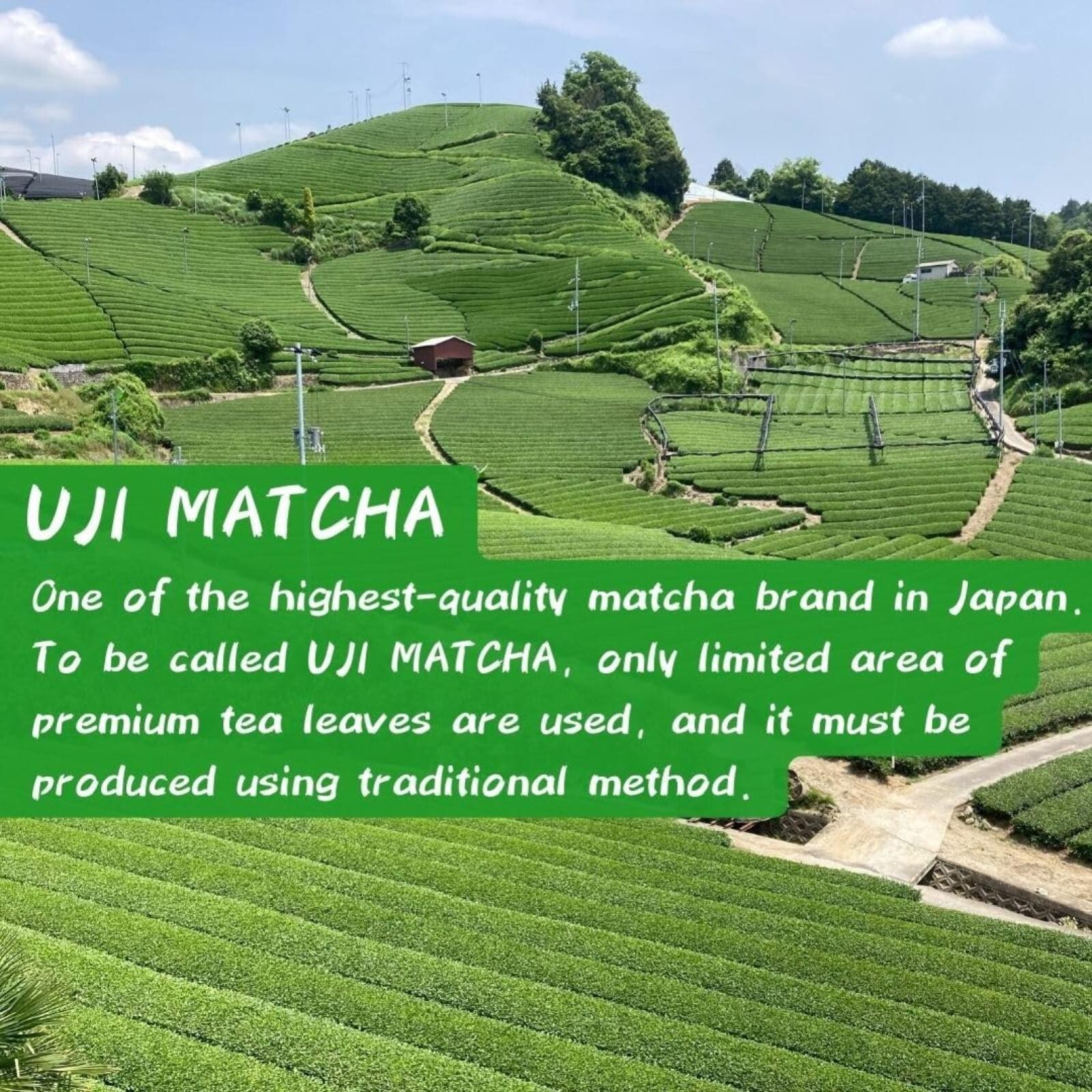 Organic Uji Matcha Powder 30g Morihan Kyoto Ceremonial Grade Japanese Green Tea