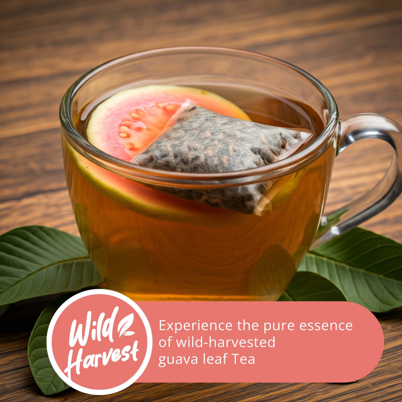 150 Organic Guava Leaf Tea Bags, Pure Guava Leaves Tea, Te de Hojas De Guayaba
