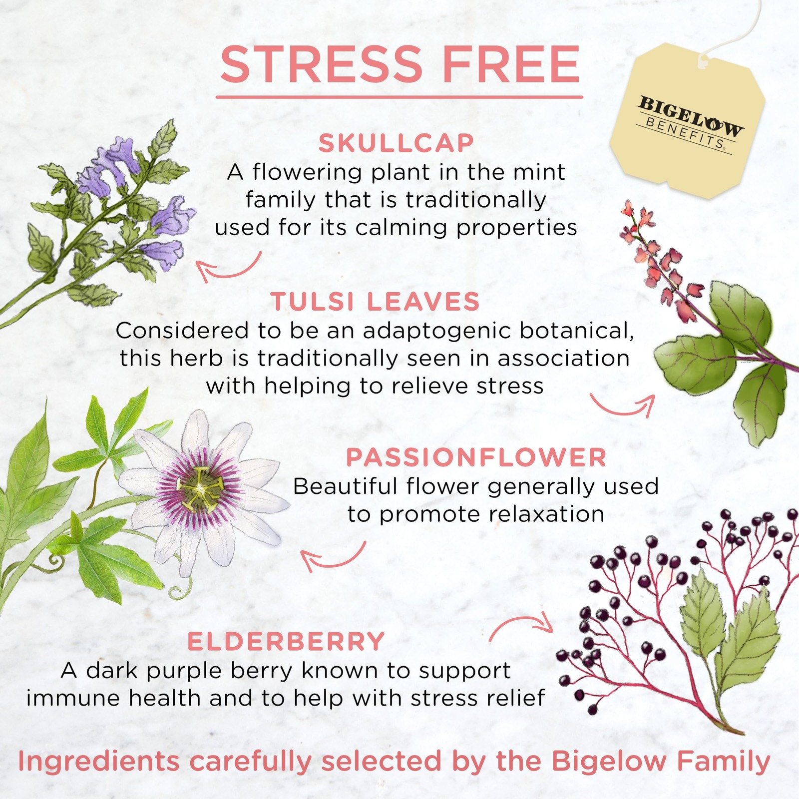 Bigelow Rose Mint Herbal Tea 18 Count Pack of 6 Stress Relief Caffeine Free