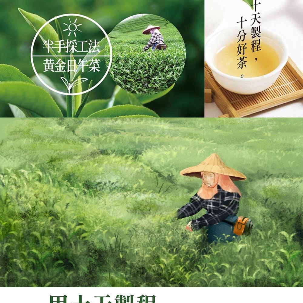 TAIWAN CHA REN Premium Series – Taiwan Dong Ding Oolong Tea Loose Leaves, 3.5…