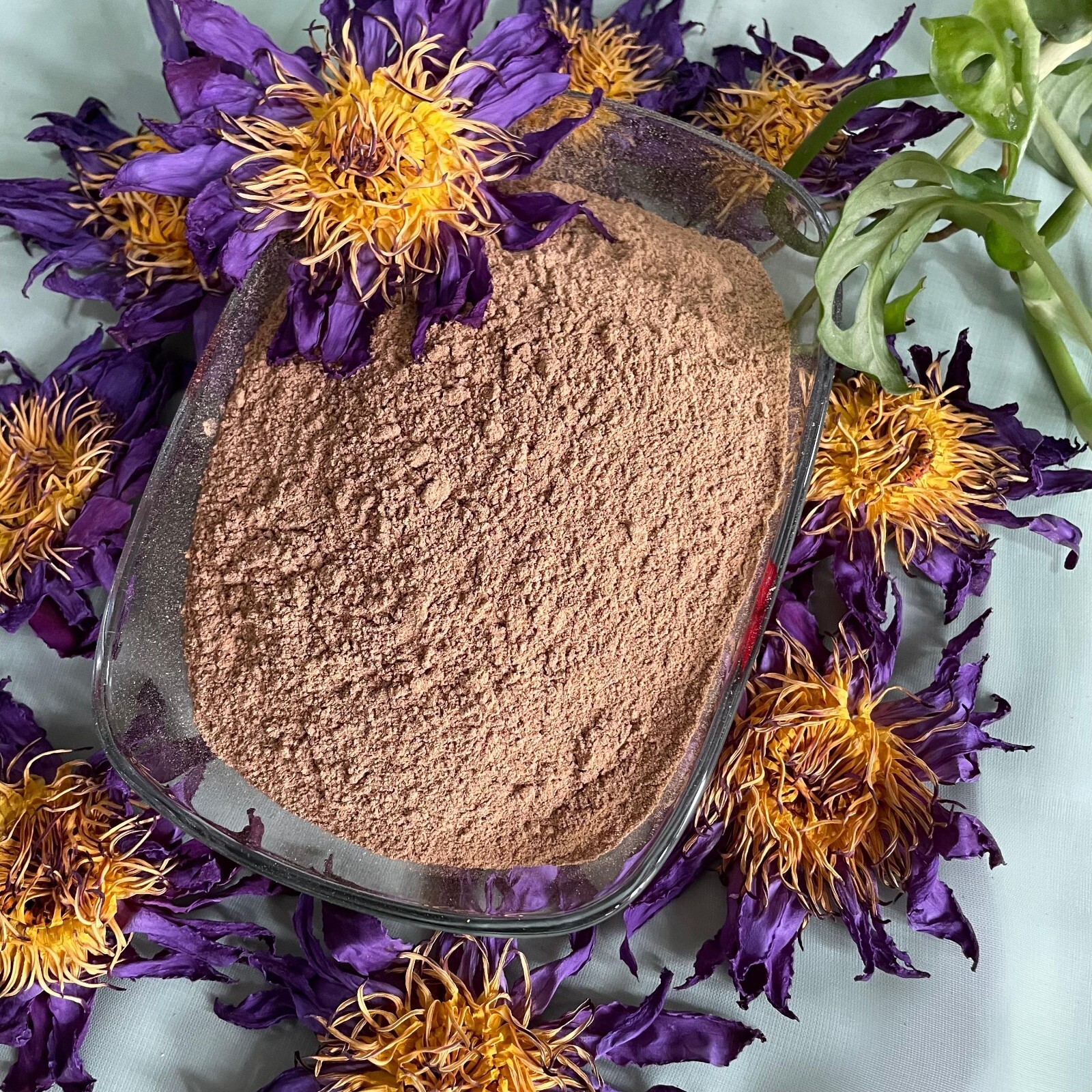 Blue Lotus nymphaea caerulea Flowers Powder 100% Organic Natural Pure Herbal Tea