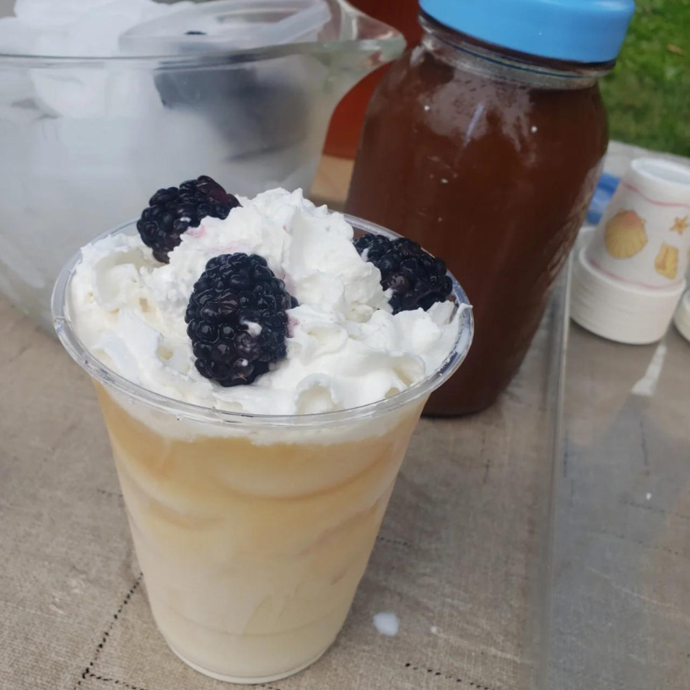 Blackberry Tea | Cold Brew Black Tea | 2 Pitcher Bags | Sugar Free | Caffeinated