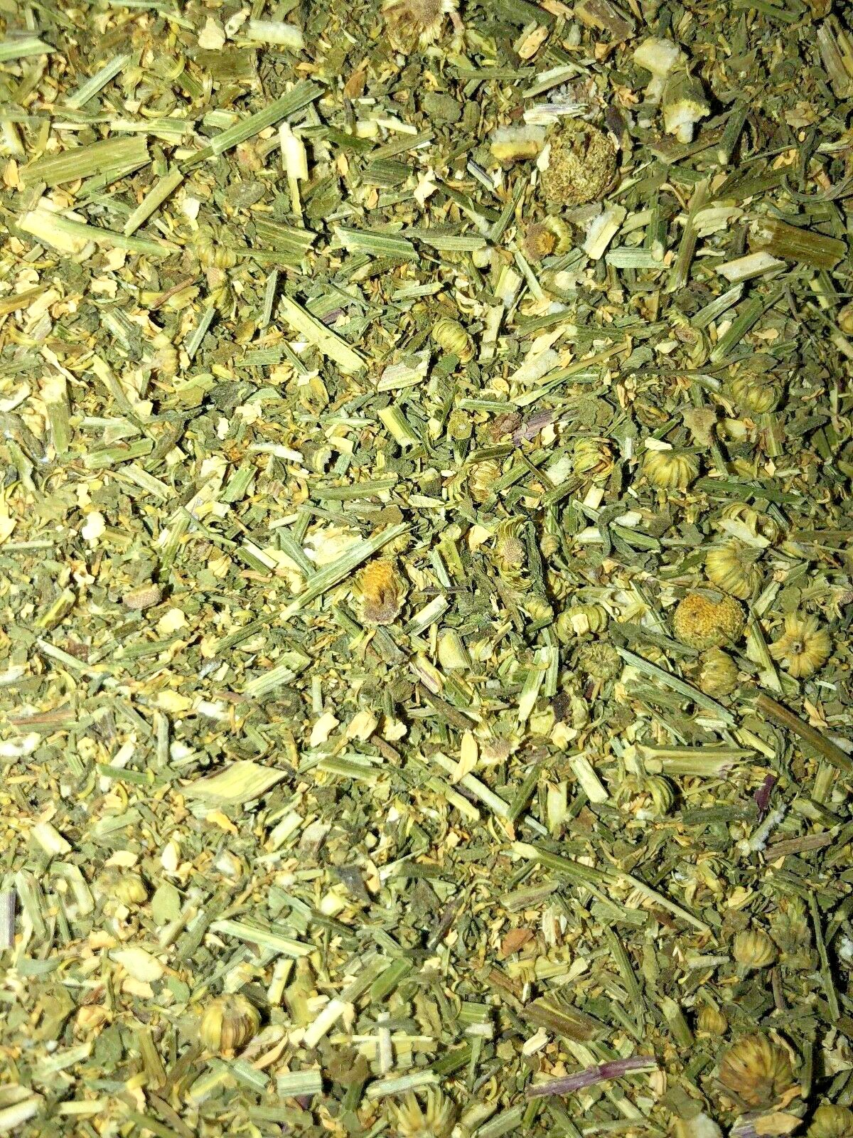 Feverfew Certified Organic Natural Headache Pain Herb Leaf
