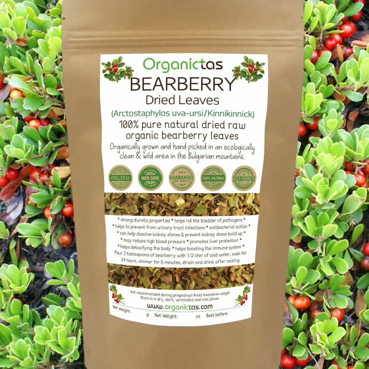 Organic BEARBERRY Tea Loose Leaf for UTI & Urinary Tract Health Premium Quality