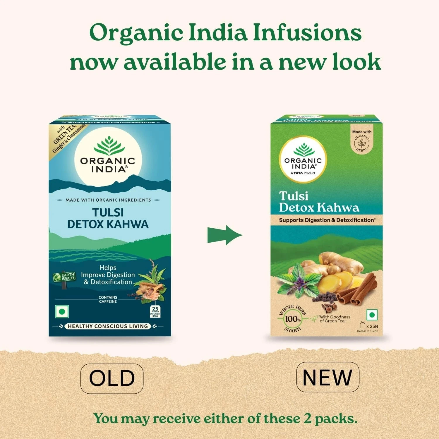 Organic India Tulsi Detox Kahwa 25 Bags Digestion & Cleanse Tea