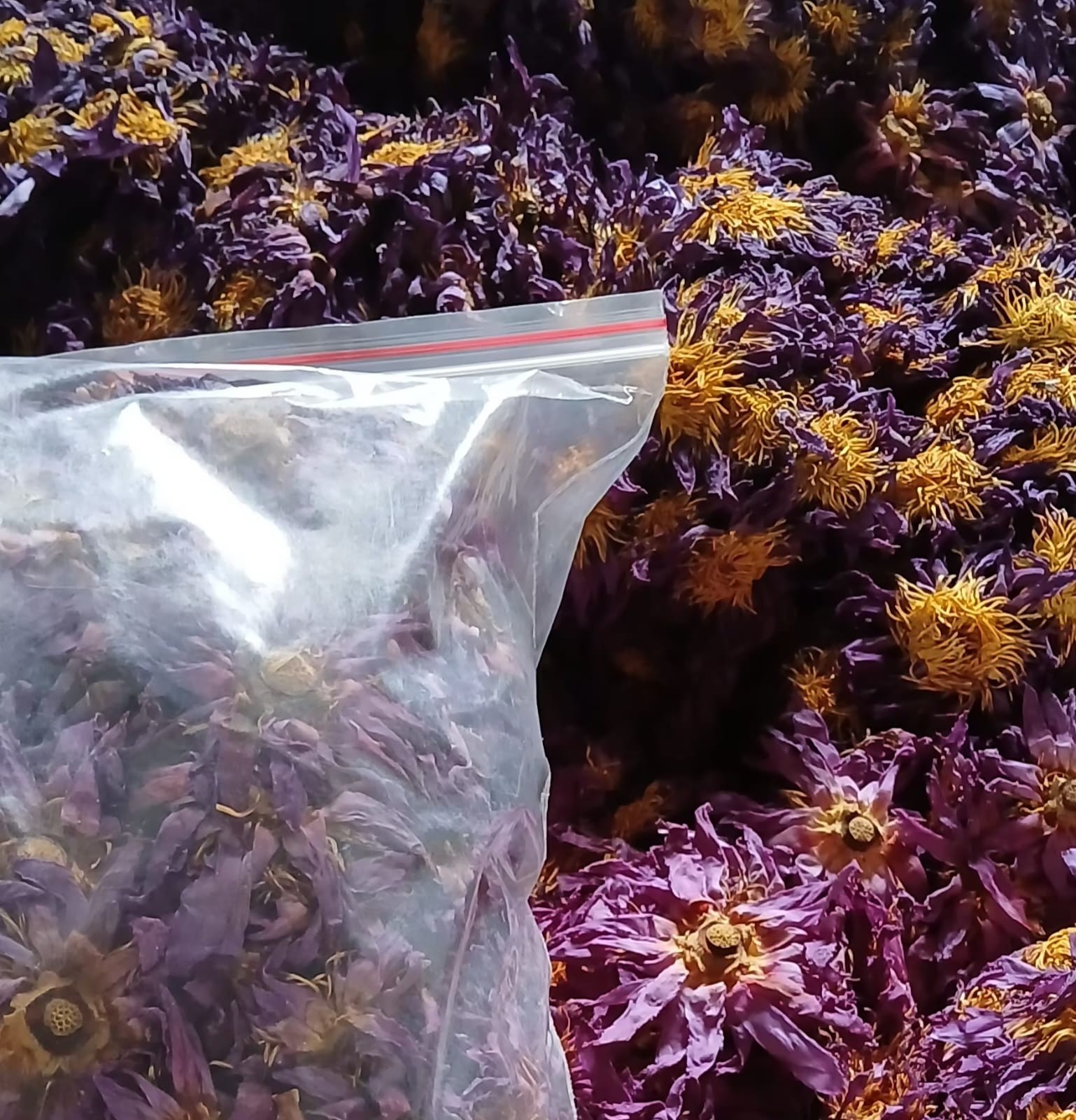 Dried Sri lankan Blue Lotus Herbal tea – 100g – Nymphaea Caerulea- organic