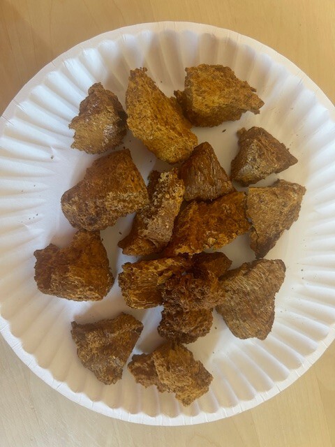 chaga mushroom chunks golden interior only 1 lb