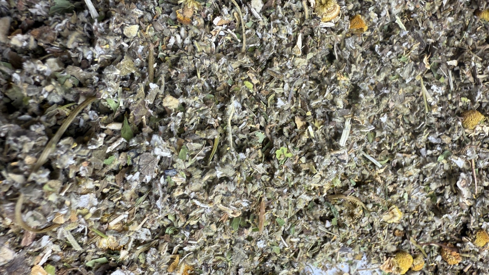 Marshmallow Raspberry Mullein Skullcap Spearmint Chamomile — No.91 Herbal Blend