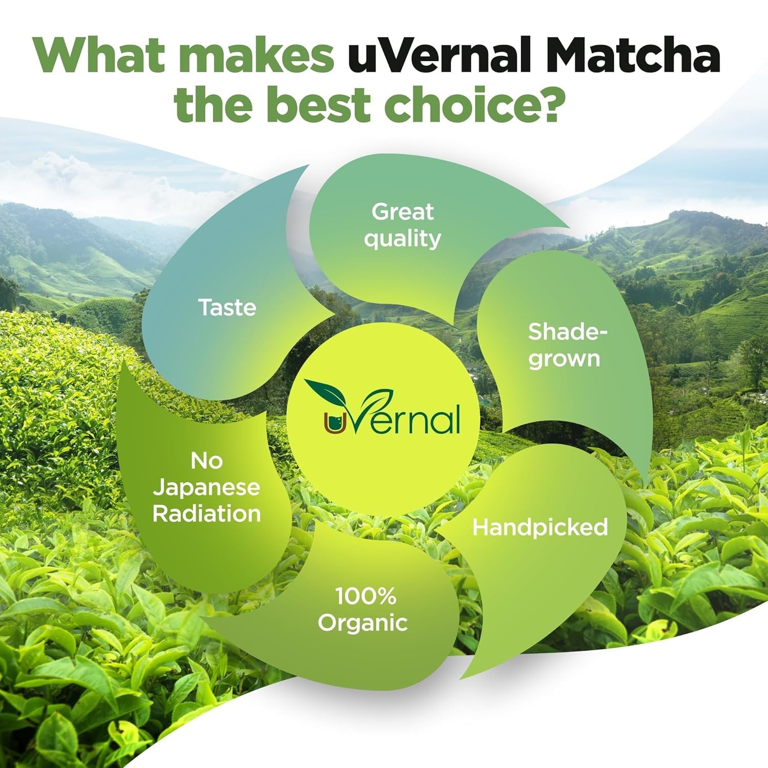 uVernal Organic Matcha Green Tea Powder – 100% Pure Matcha for Latte & Baking