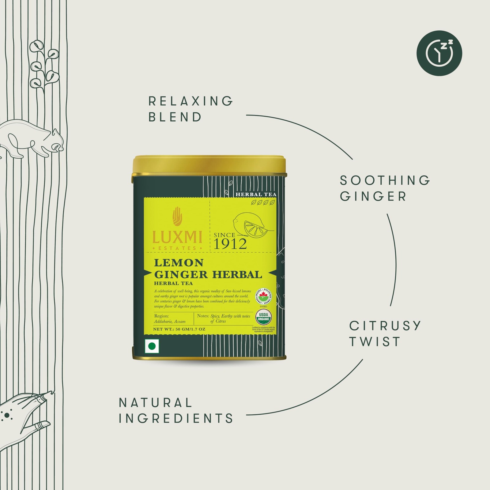 Estates Lemon Ginger Root | Certified Organic Herbal Tea | Citrus Flavor & Ar…