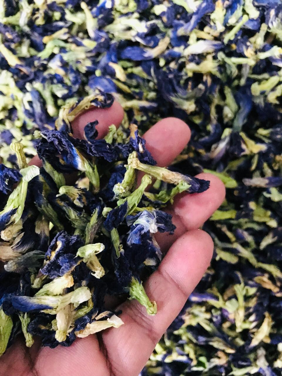 Ceylon Butterfly Pea Blue Organic Tea Dried Flowers Natural Herbal Healthy Drink