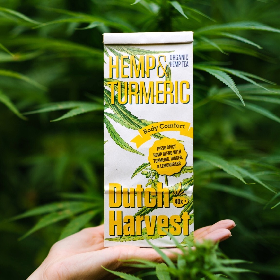 Dutch Harvest – HEMP & TURMERIC – A fresh spicy blend to soothe the body – Org.