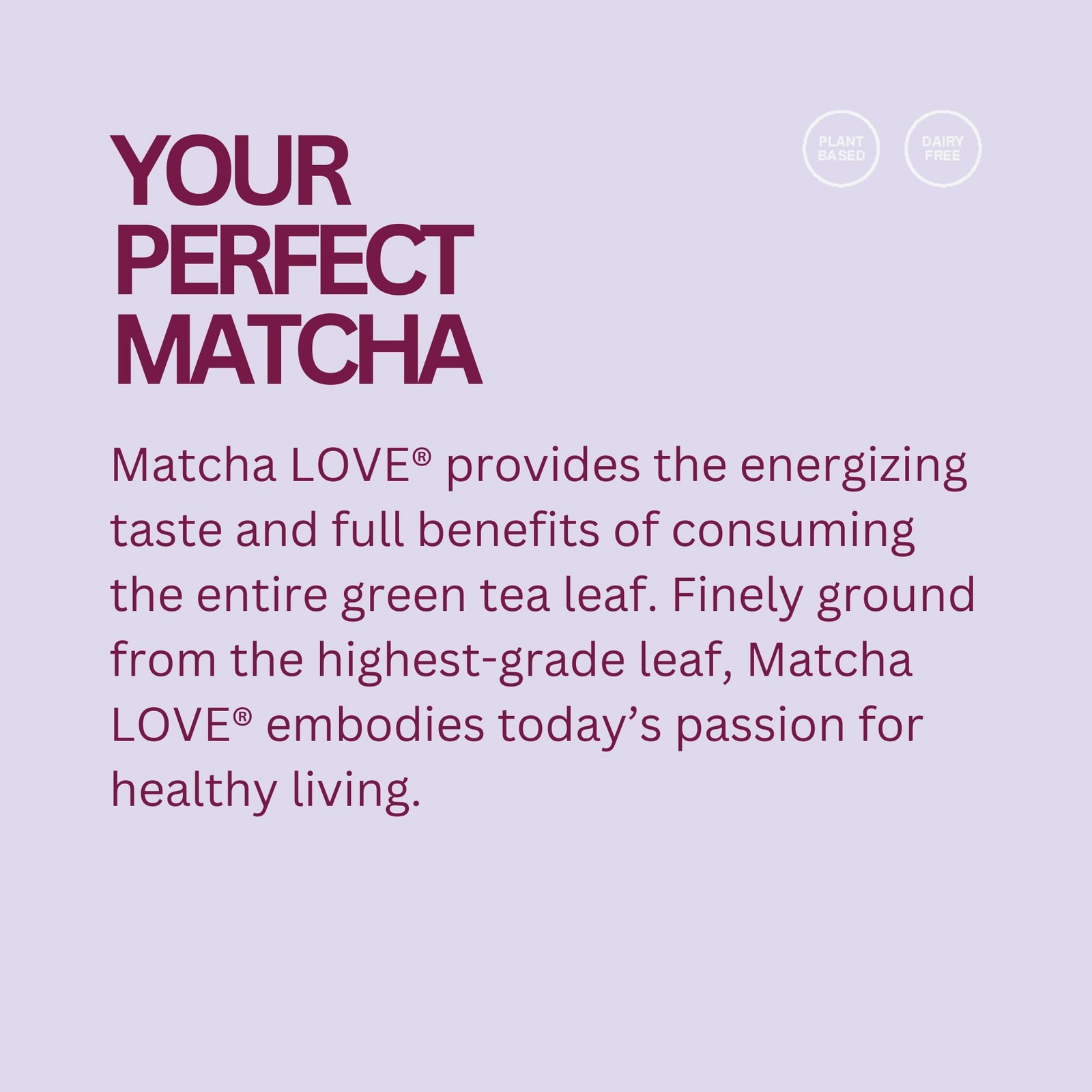 Passion Fruit Matcha + Green Tea, Sweetened, 8 Ounce (Pack of 12)