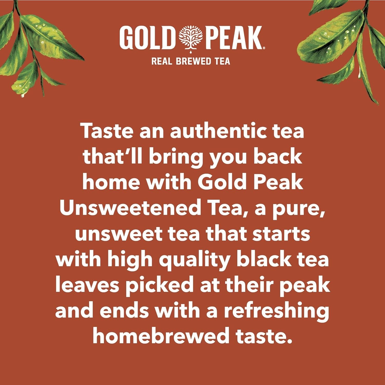 Family-Friendly Unsweetened Tea – 6-Pack of 16.9 fl oz Bottles for Any Occasion