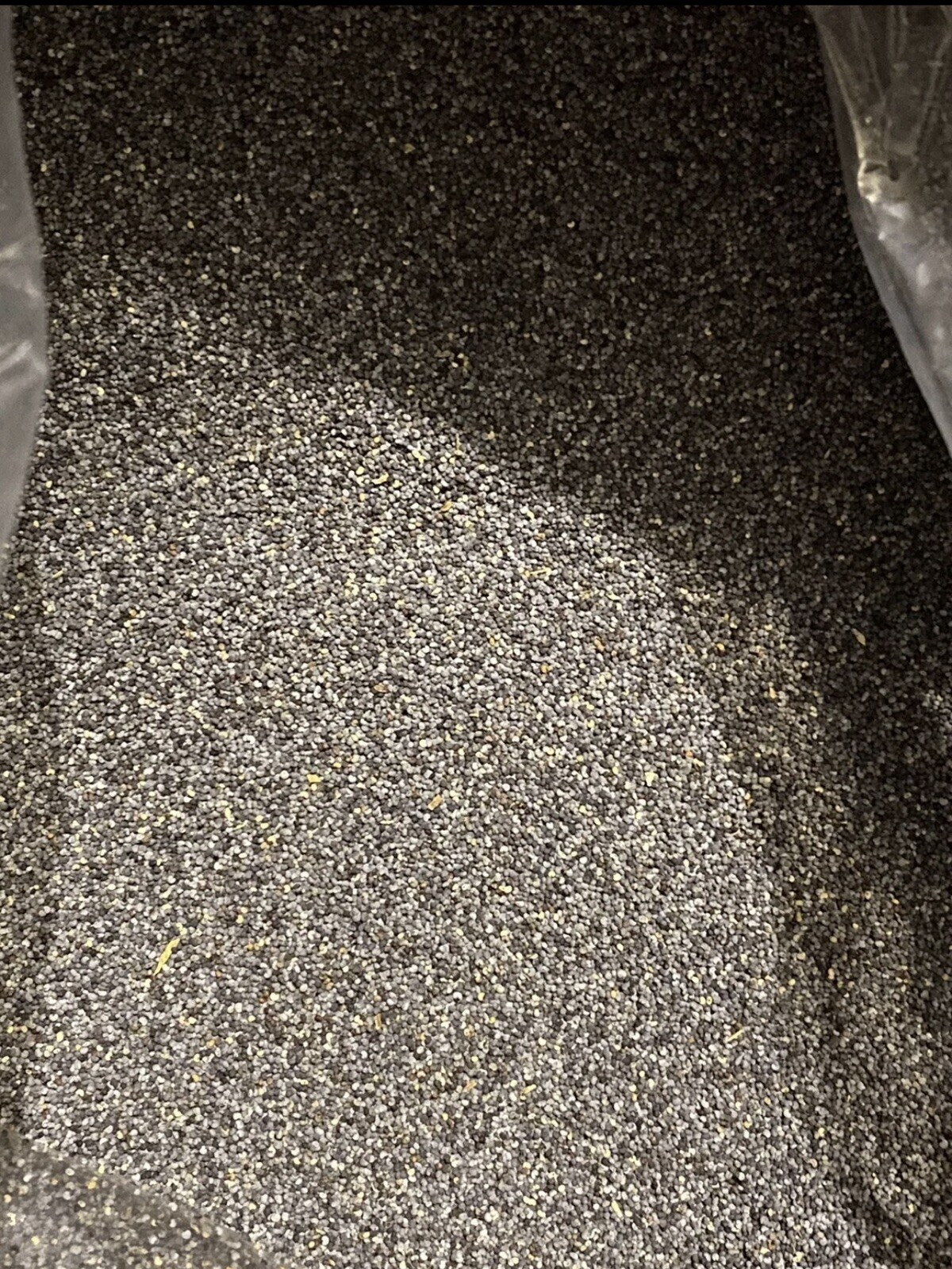 UK Organic Poppy Seed | 1LB | Small Pot Grown Summer 2023 batch