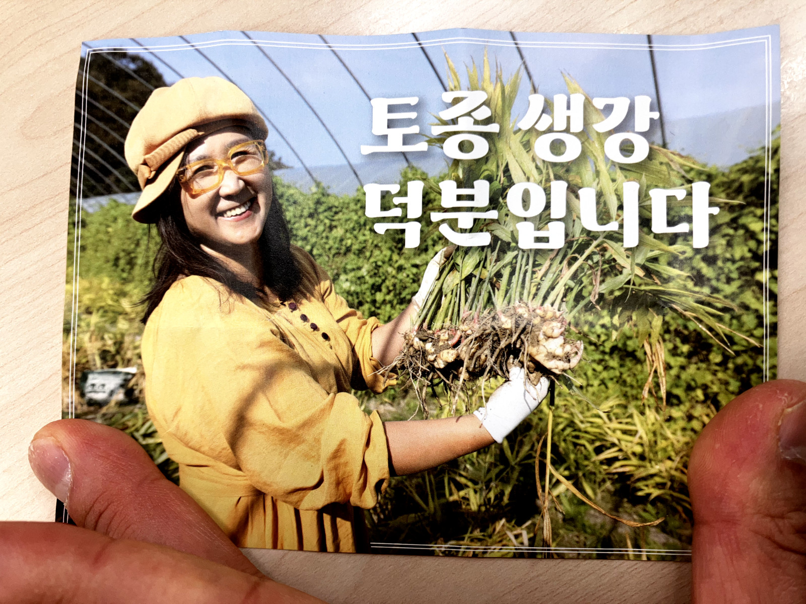 Korean Sujeonggwa Premium Cinnamon Ginger Punch Tea 340g 11.99 fl oz.