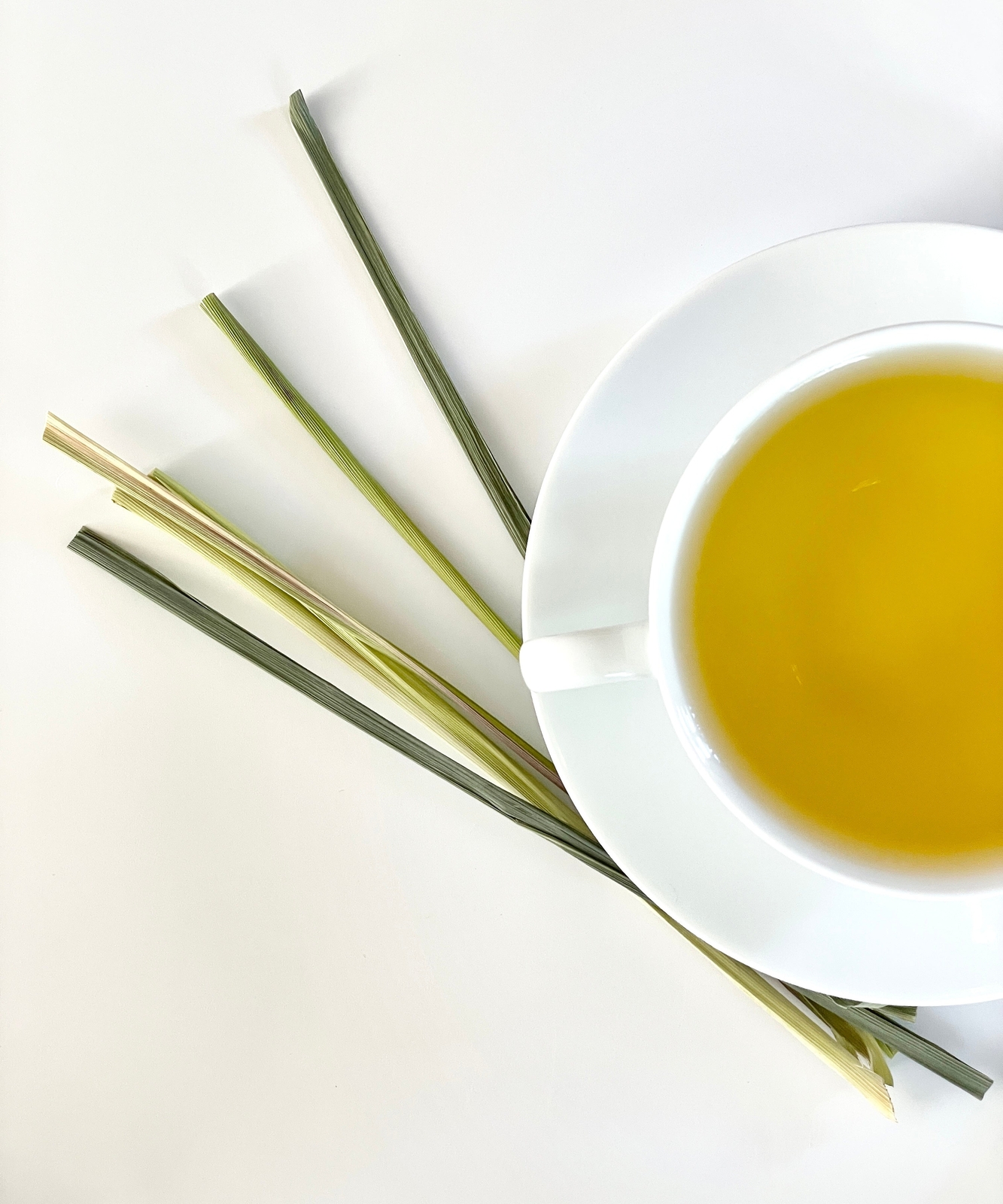 Lemongrass Tea by Palm Beach Herbals | 30ct, Caffeine-Free