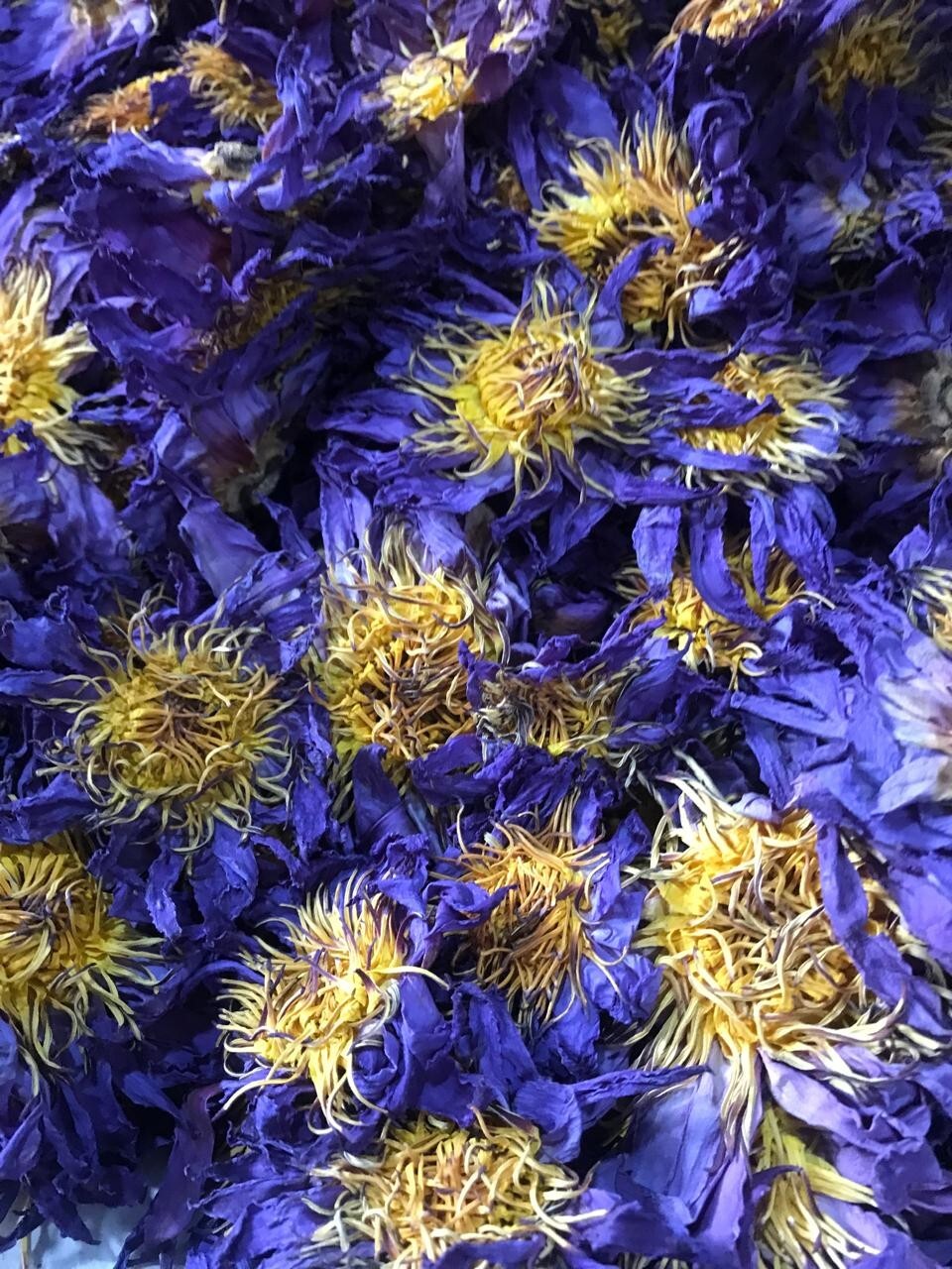 Ceylon Dried Blue Lotus 1000g Nymphaea Caerulea 100% Hand Pick Flowers Herbs Tea