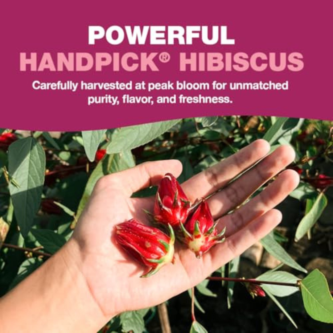 HANDPICK, Organic Hibiscus Tea Bags (100 Tea Bags) | Caffeine-Free, 100% Natural