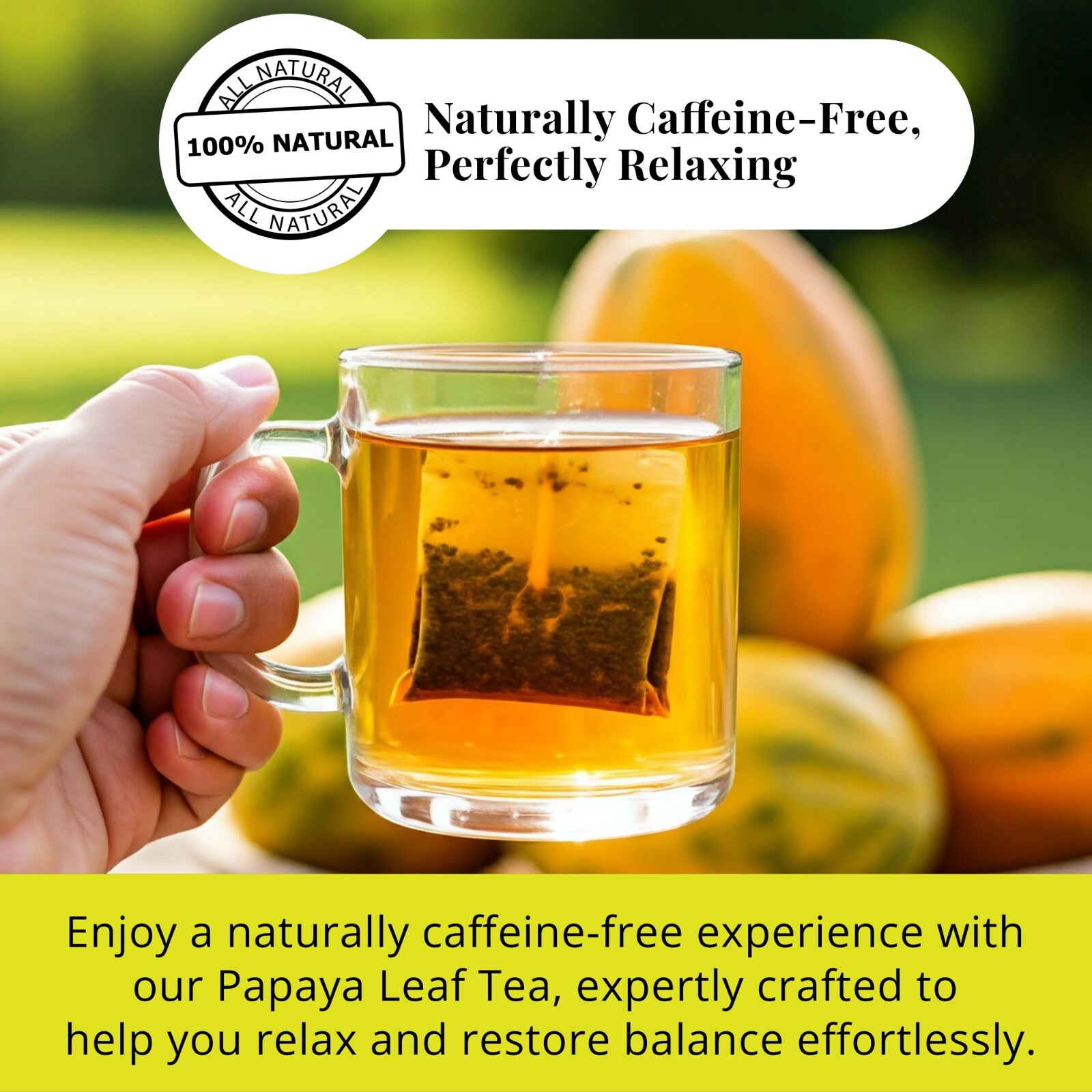 75 Papaya Tea Bags, Papaya Leaf Tea, Te De Hojas De Papaya, Herbal Tea