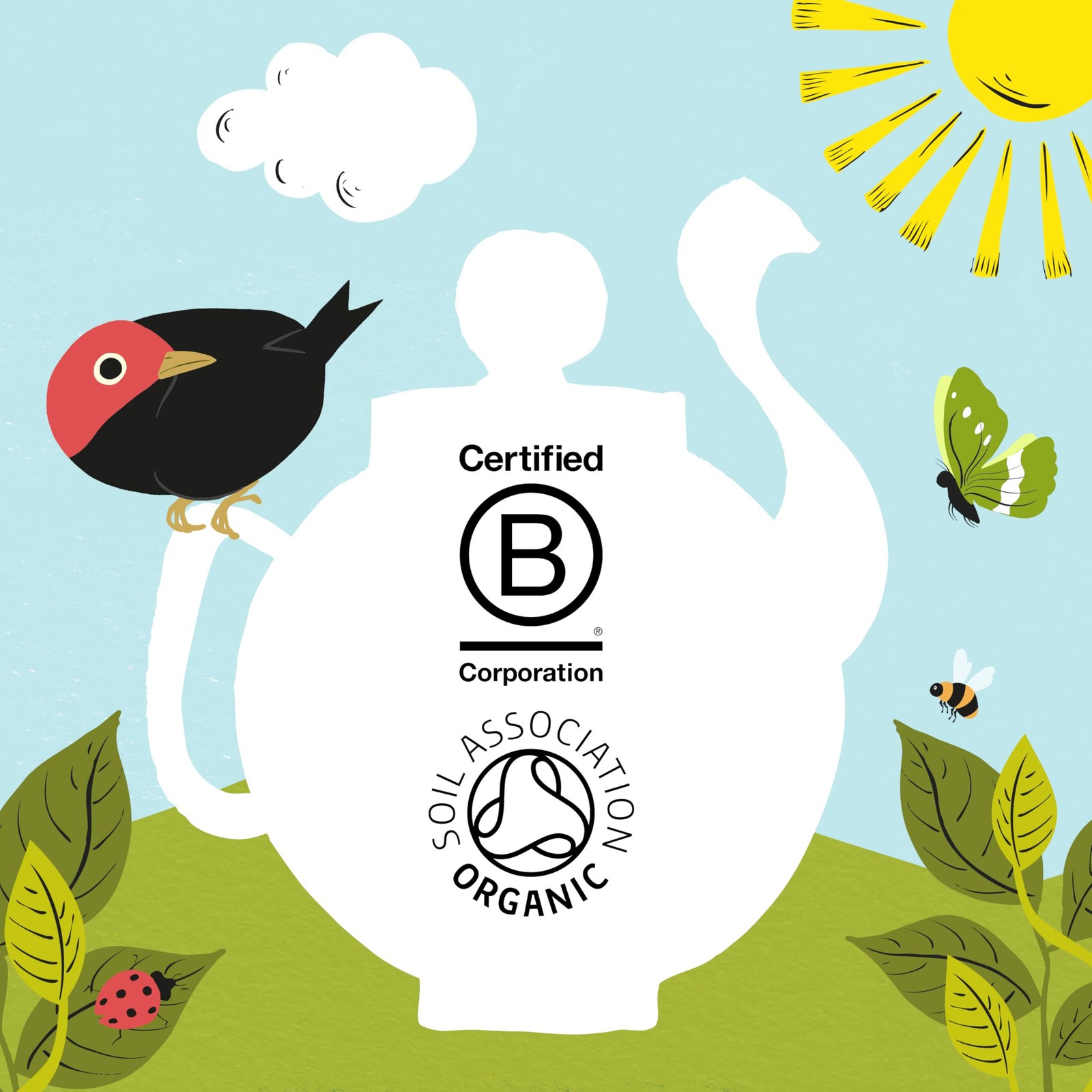 Clipper Tea, Organic Fairtrade Everyday, Organic, USDA Non-GMO, Fair Trade, S…