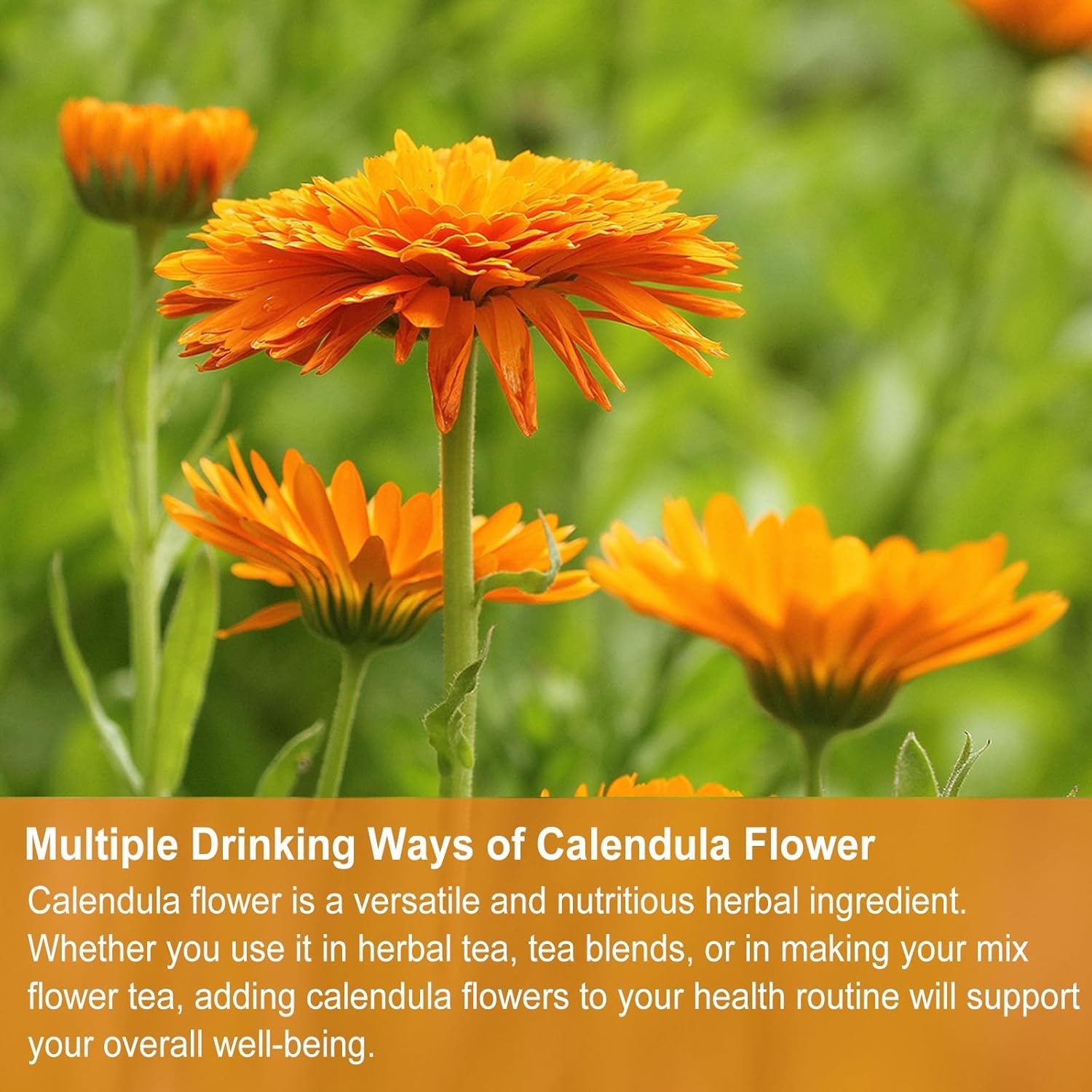 Calendula Tea Bags, 36 Count – Natural, Caffeine-Free Infusion for Soothing Sip
