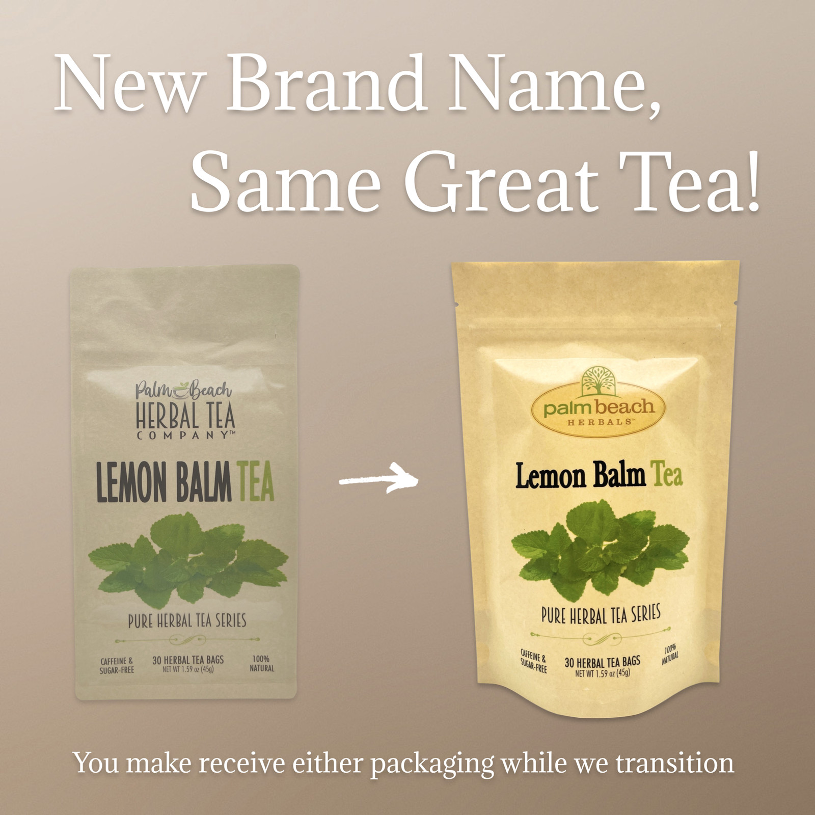 Lemon Balm Tea by Palm Beach Herbals | 30ct, Caffeine-Free