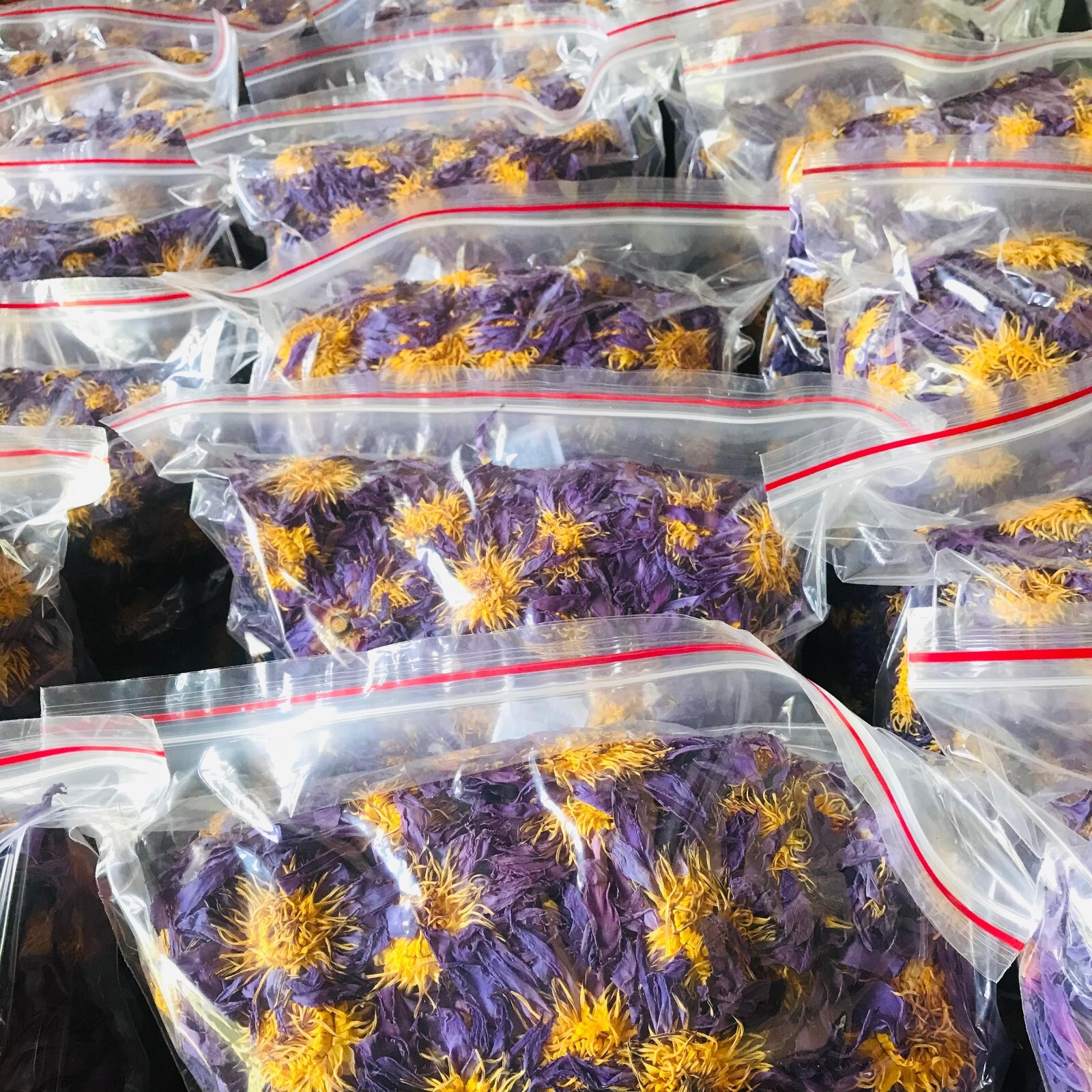 Ceylon Sacred Blue Lotus Nymphaea Caerulea Hand Picked Pure Organic Flowers Tea