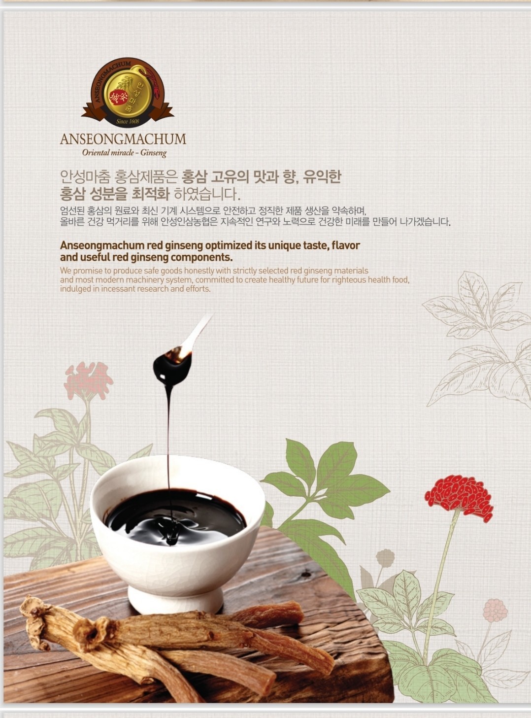 [An Seong Nonghyup] Korean 6 Years Red Ginseng Slices 20g × 10