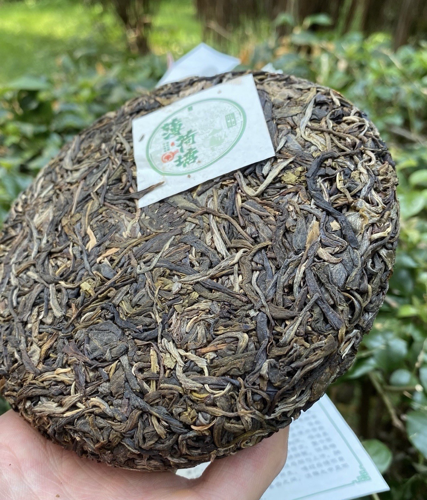 易武 薄荷塘 Pu-erh Sheng (Raw) Tea & Infusion Brick 200g Chinese 普洱生茶
