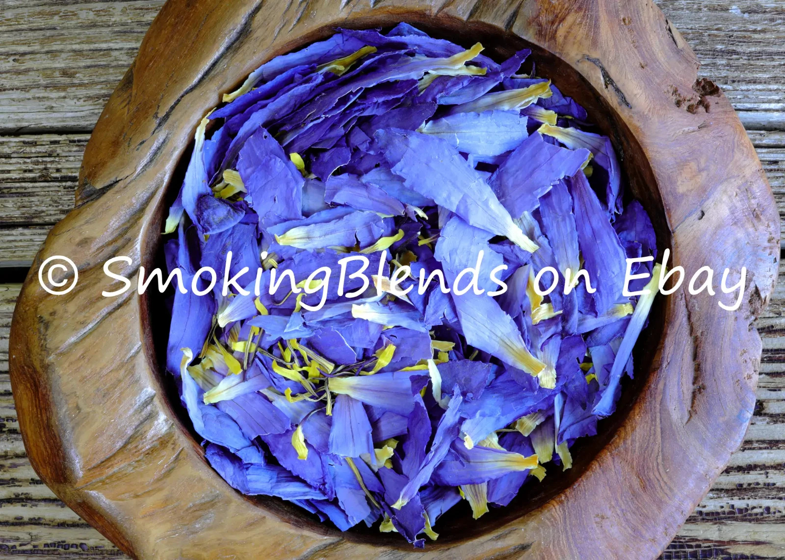 Premium Blue Lotus Flowers – Petals and Stamens