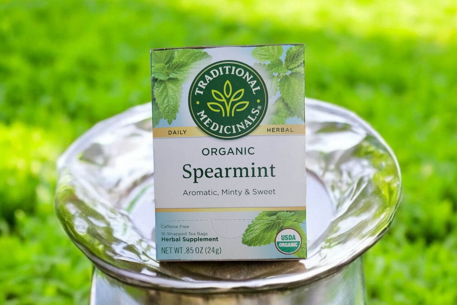 Traditional Medicinals Organic Spearmint Tea 16 Bag(S)