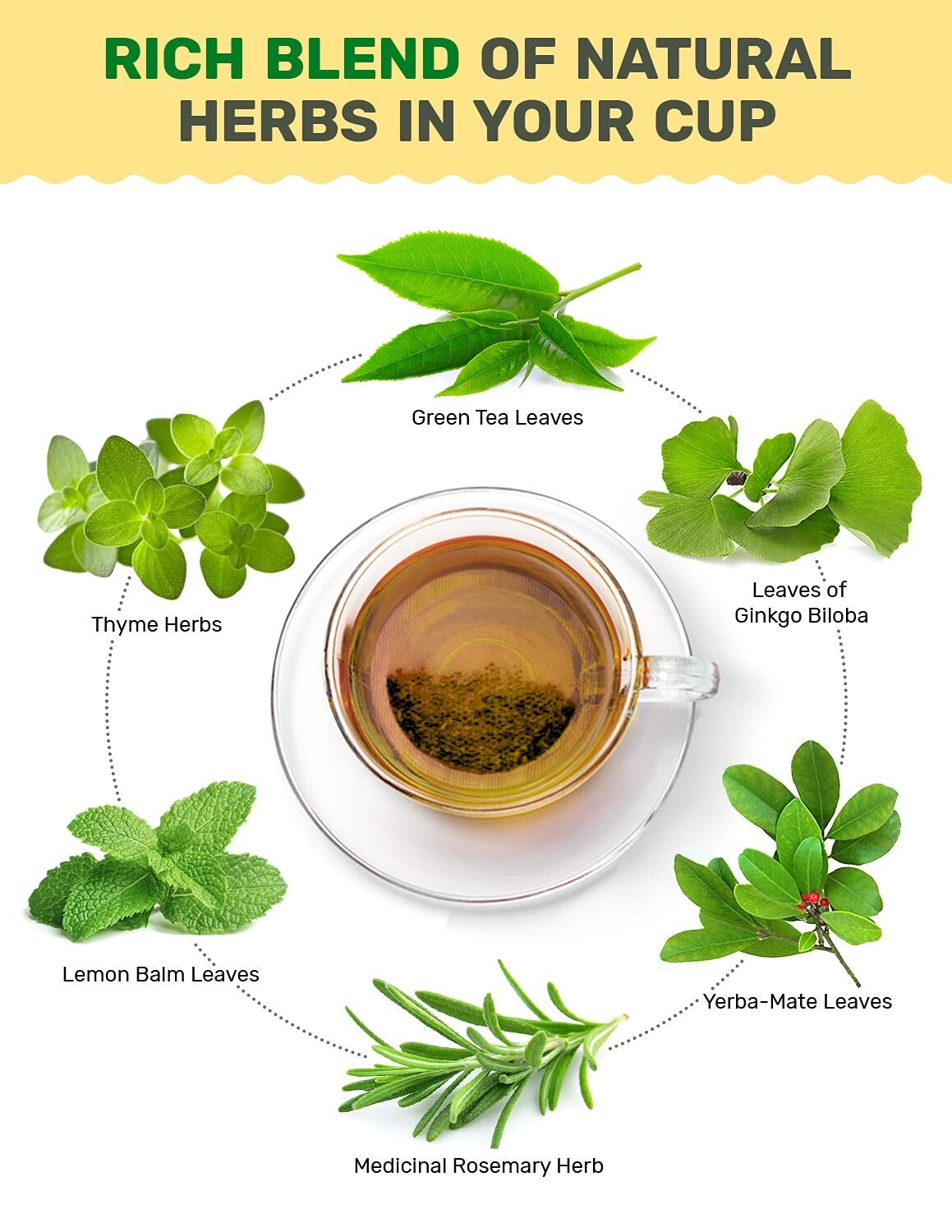 Focus & Concentration Herbal Tea for Attention & Energy , 60 bags, USA seller