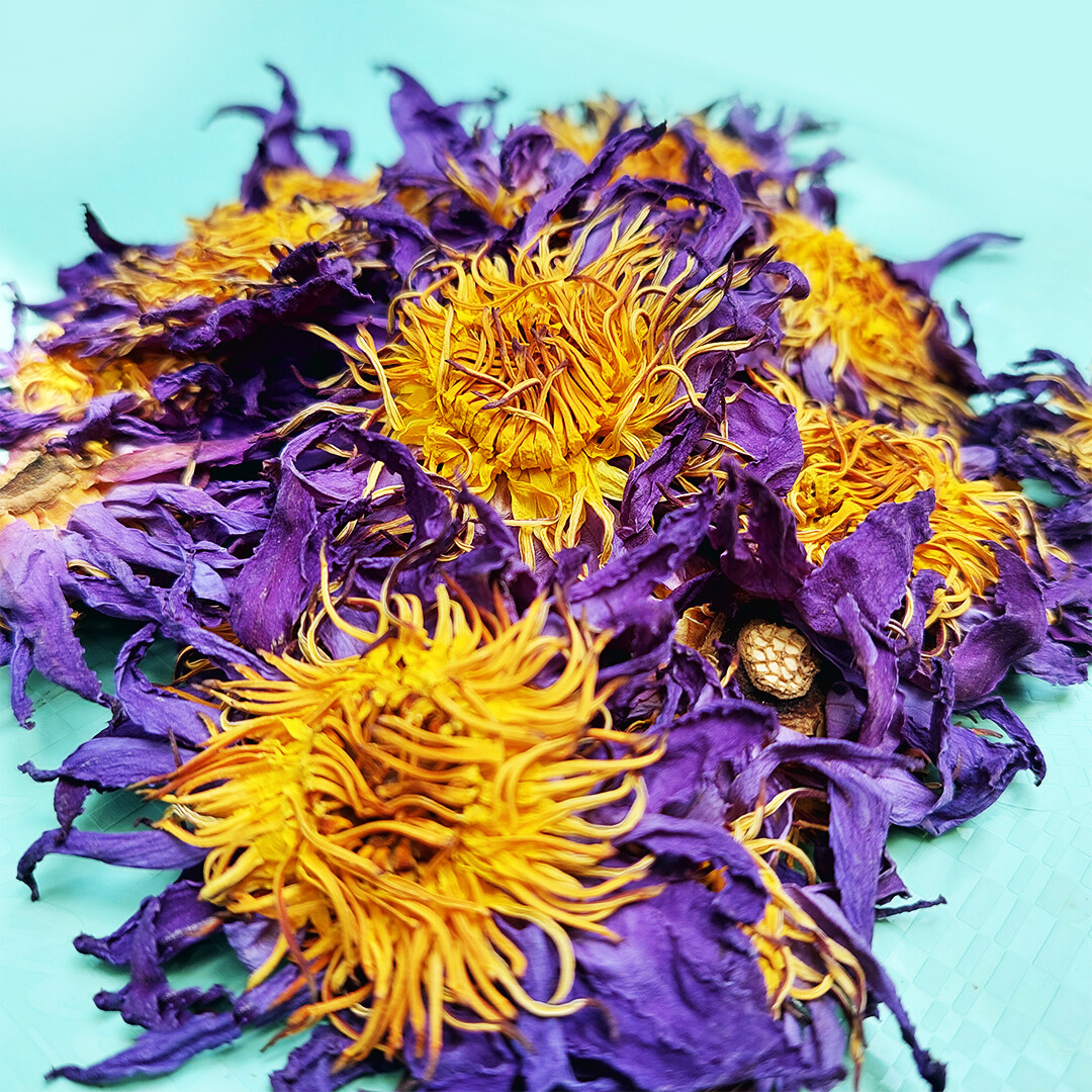 Dehydrated Blue Lotus Flower (Nymphaea Caerulea) Deep Dreams Tea Stress Relief