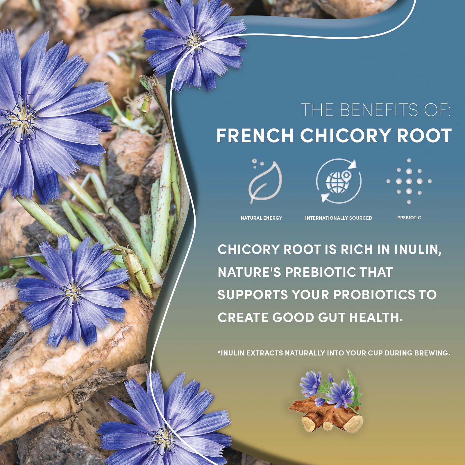 Teeccino Dark Chocolate Prebiotic SuperBoost™ Herbal Tea 25 Count (Pack of 1)