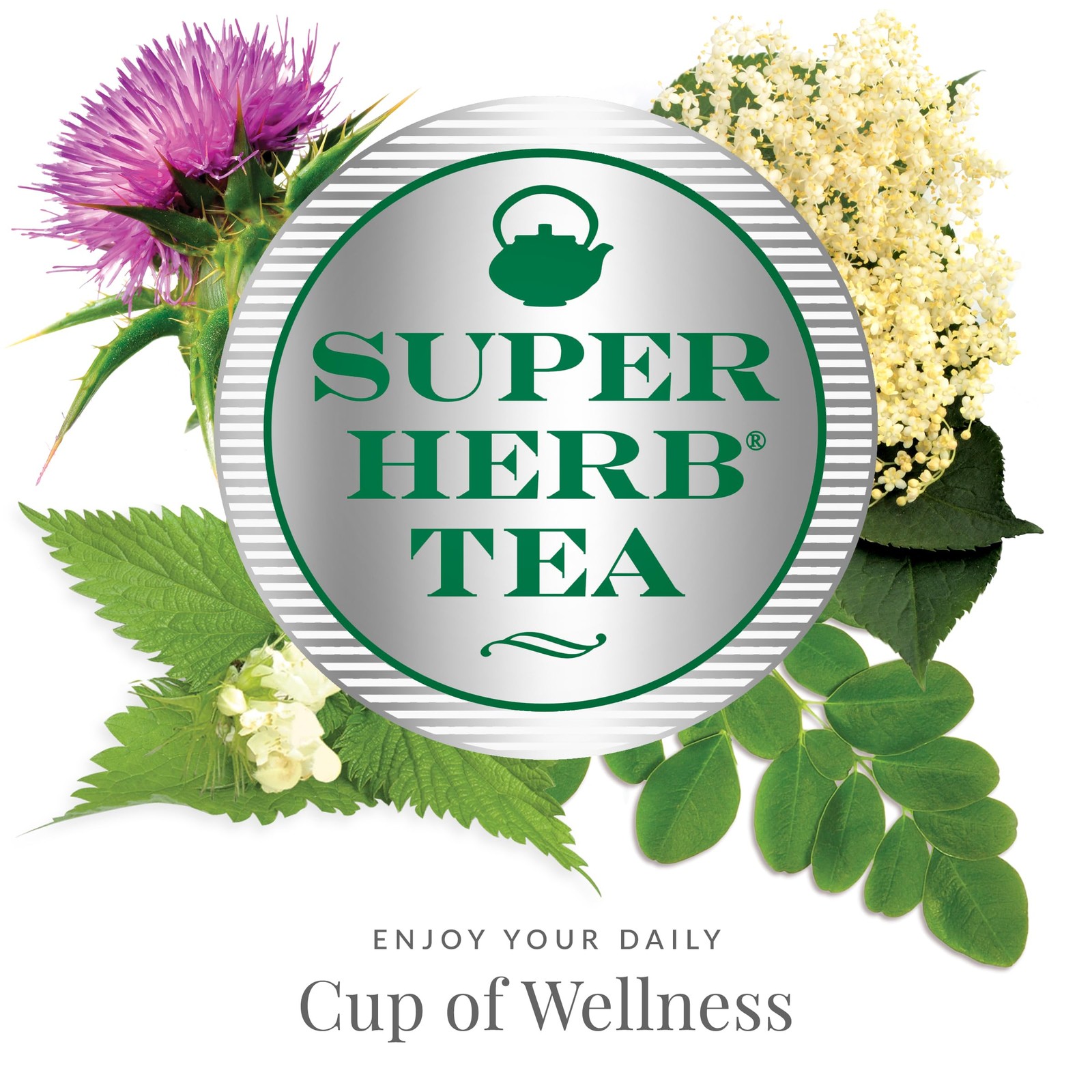 Herbal Tea Organic Milk Thistle Naturally Caffeine-Free 36 Herbal Tea Bags