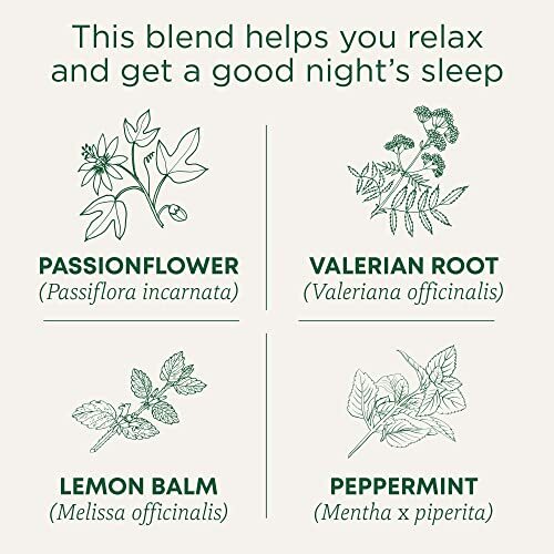 Te De Valeriana ORIGINAL Para Dormir Los Nervios Organico Natural VALERIAN TEA
