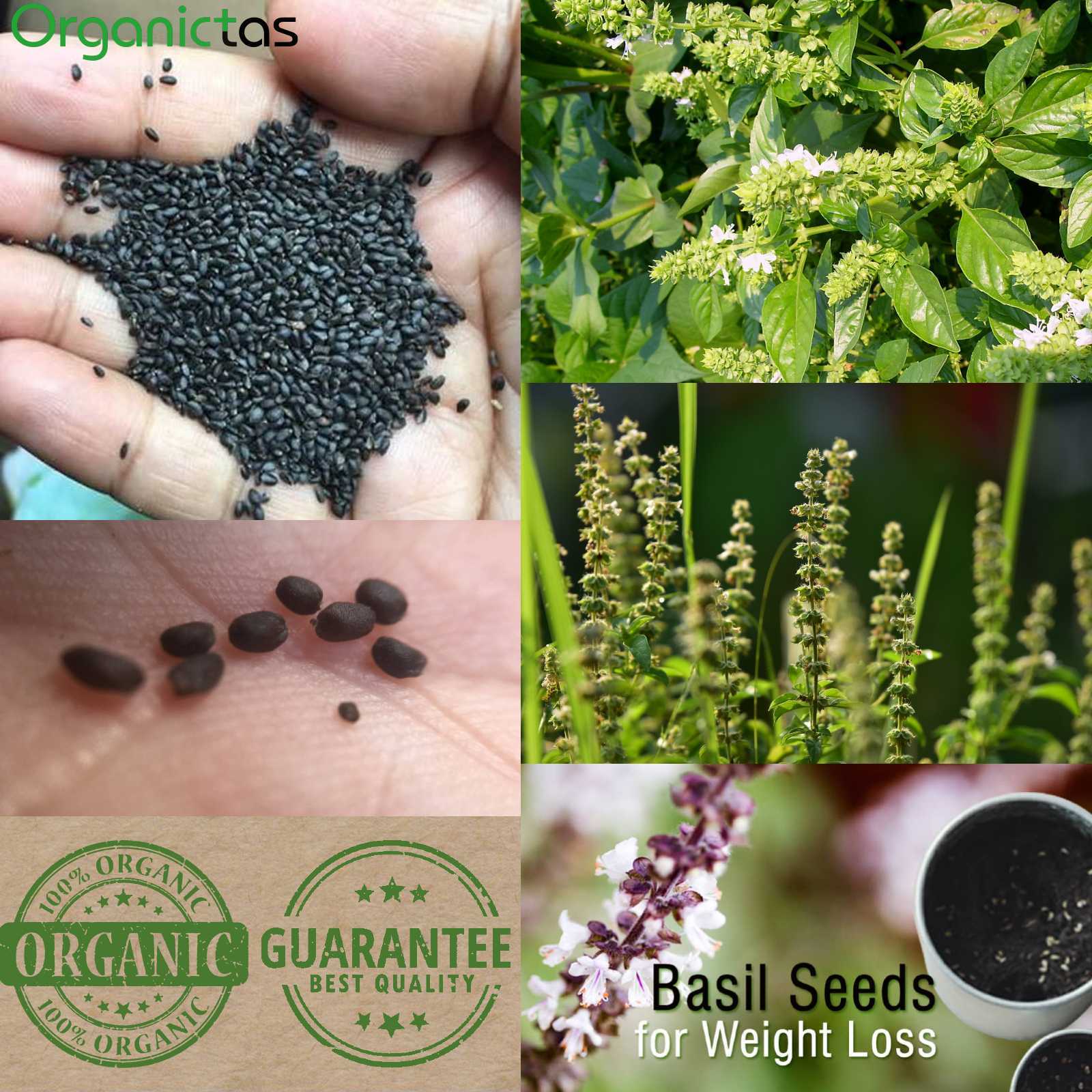 Basil Seeds Tukmaria Natural Drink Weight Loss Slimming Organic Premium Quality