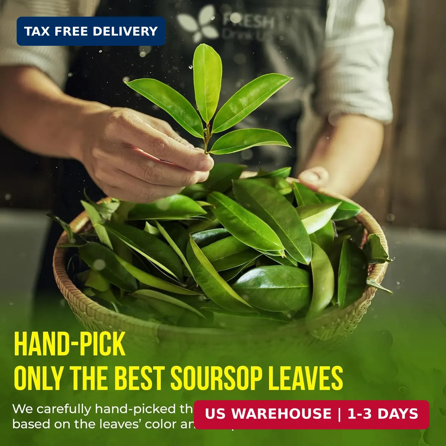 FreshDrinkUS, Premium Tea Herbal Loose Leaves, Tea for Tea Lovers, Loose Leaves
