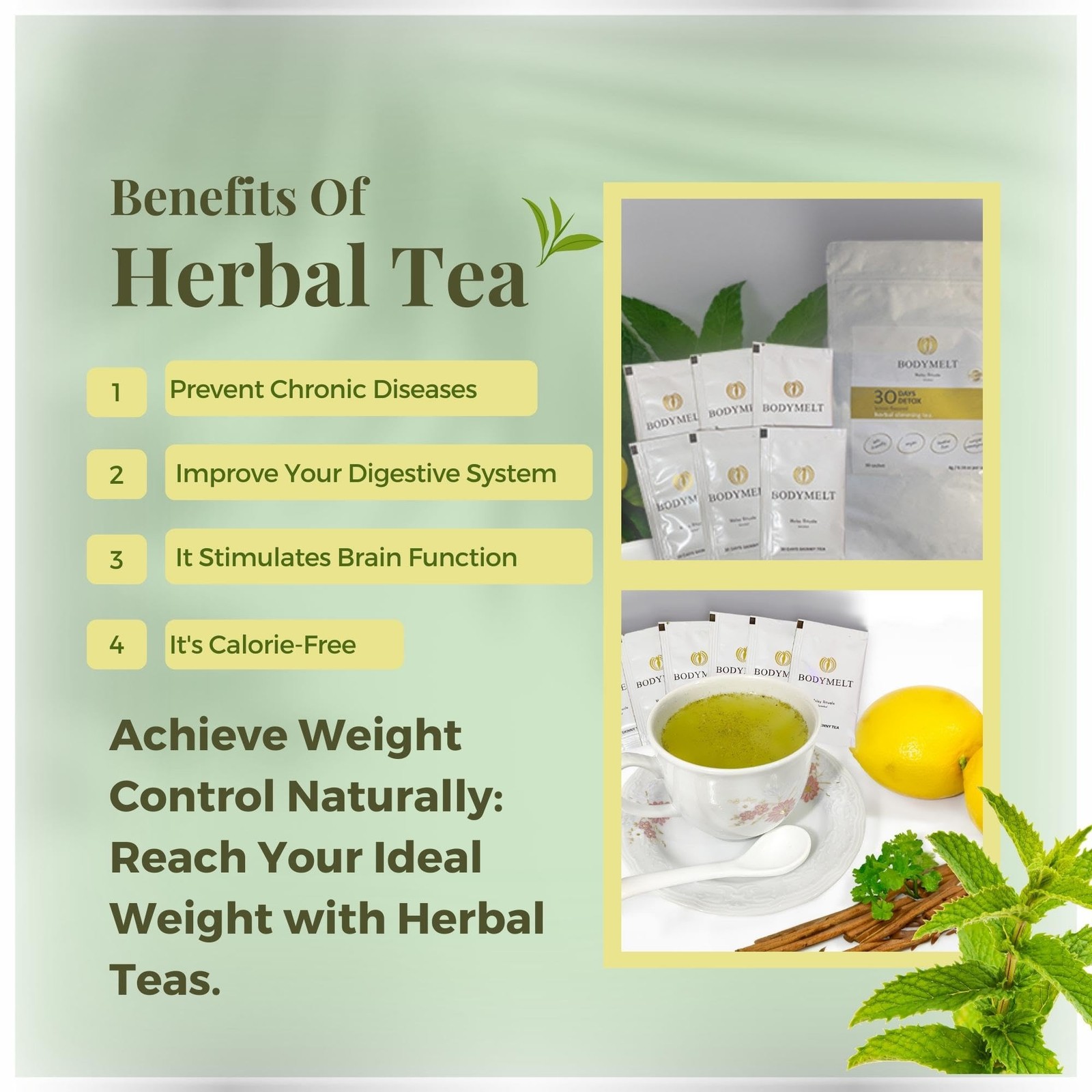 BODYMELT 30 Days Detox Tea Powder Form | Herbal Tea Formula | 30 Sachet Powder |