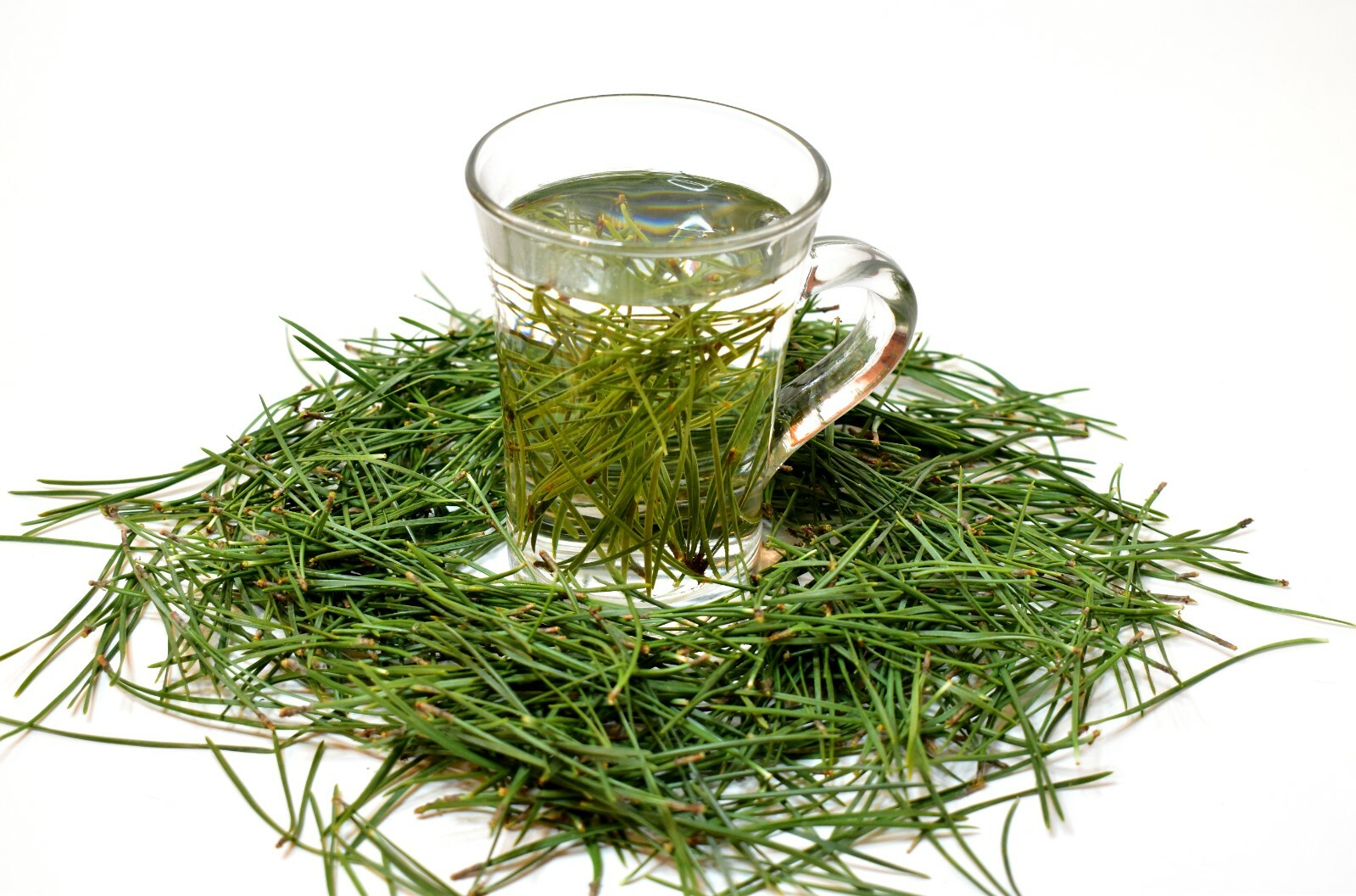 Fresh pine needles for tea 200 G / 7 OZ, Vitamin C, A, B, E, K, suramin, organic