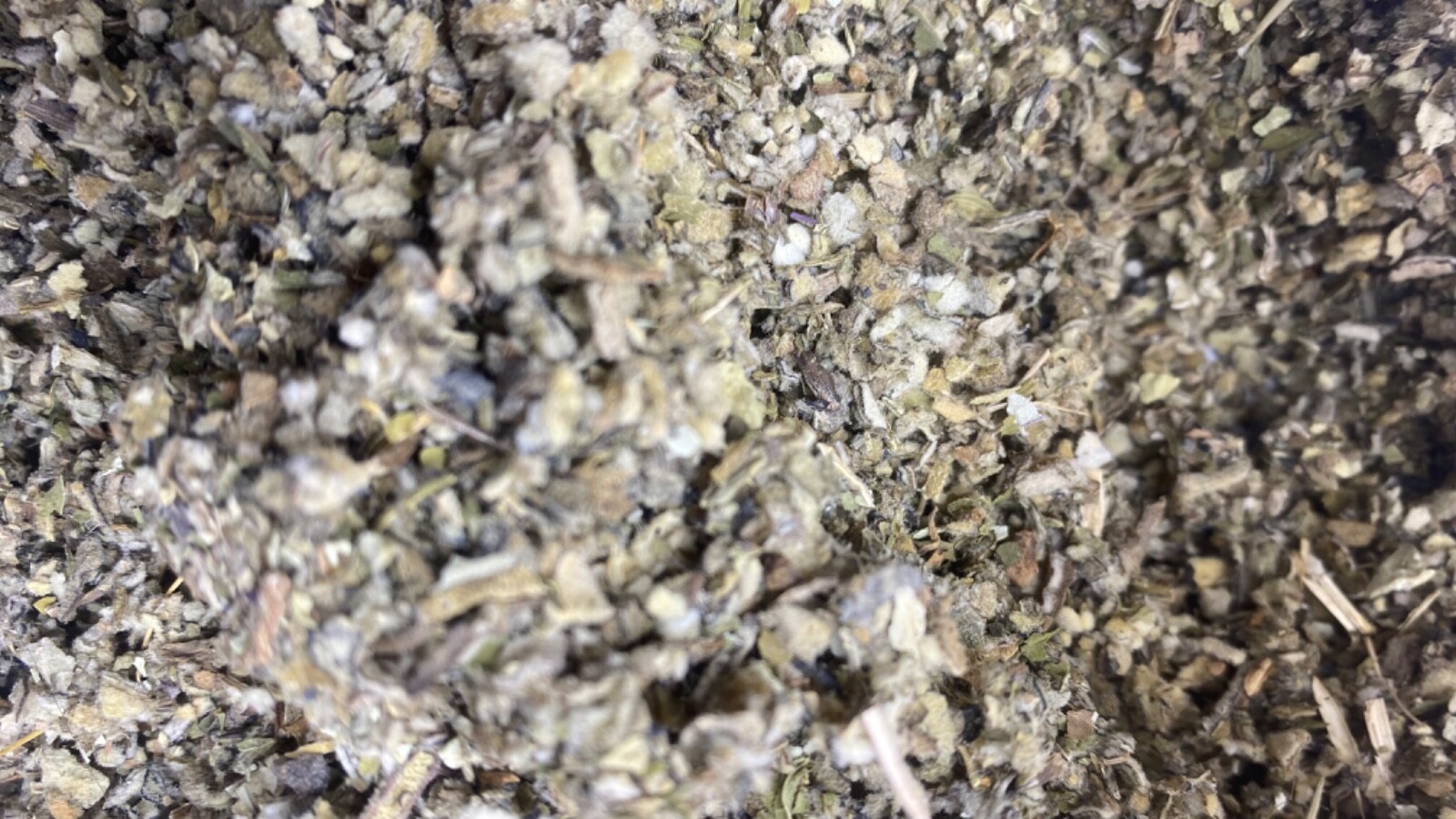 lobelia coltsfoot peppermint mullein organic wild crafted herb mix – 1 2 4 oz