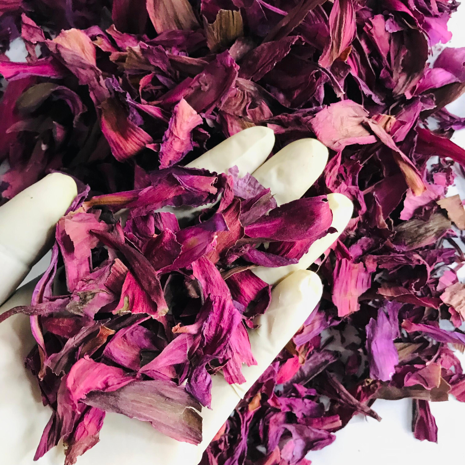 Dried Cut Red Lotus 1kg Nymphaea Rubra Flower Pure Organic Ceylon Herbal Tea