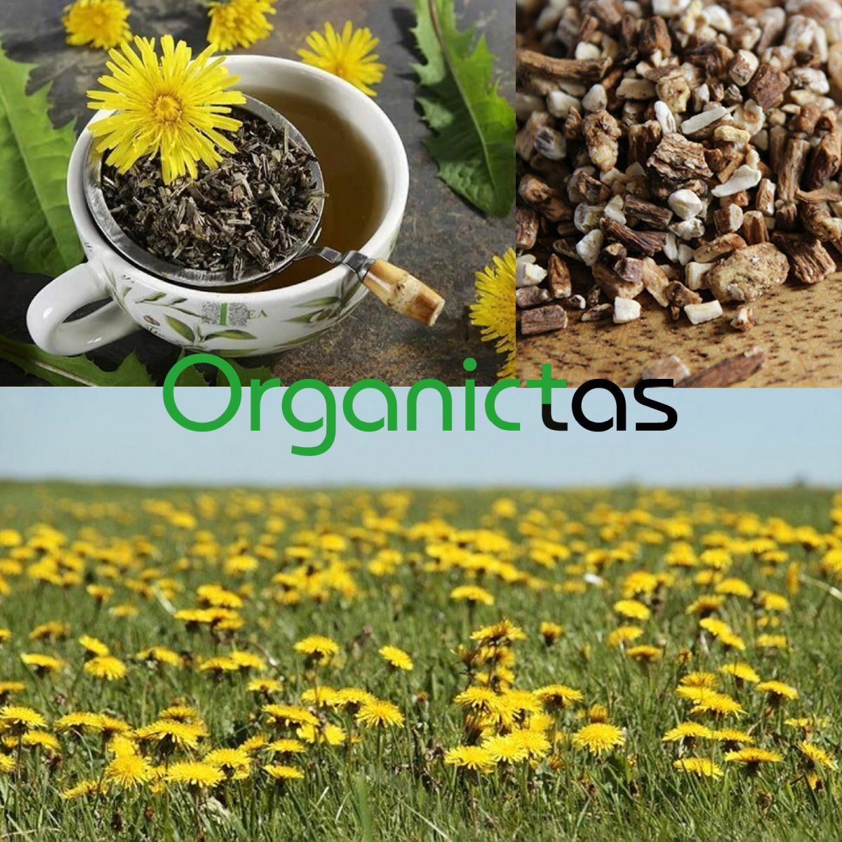 DANDELION ROOT Organic Premium Quality Tea Cut Taraxacum Officinalis 25-200g BIO