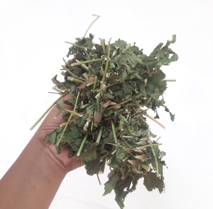 250g Dried Mexican Dream Herb CALEA ZACATECHICHI Lucid Pure ORGANIC Herbal Tea
