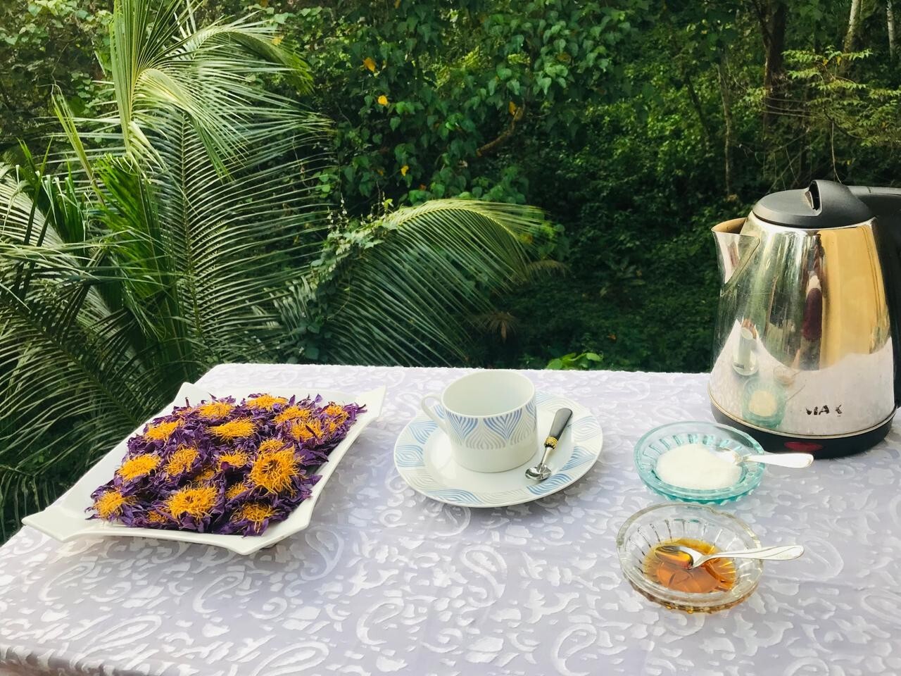 Ceylon Herbal Nymphaea Caerulea Hand Pick Dried Blue Lotus Flowers Organic Tea