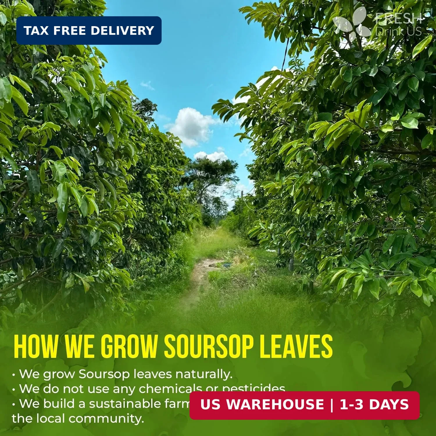 FreshDrinkUS, Premium Tea Herbal Loose Leaves, Tea for Tea Lovers, Loose Leaves