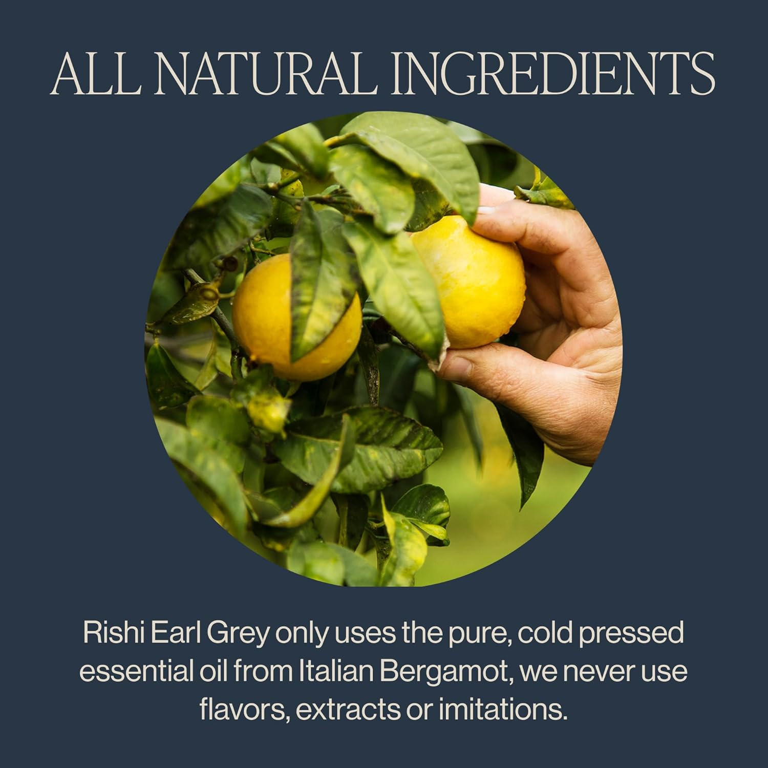 Earl Grey Tea – Organic Sachet Tea Bags, Pure Black Tea with Bergamot Oil, Energ