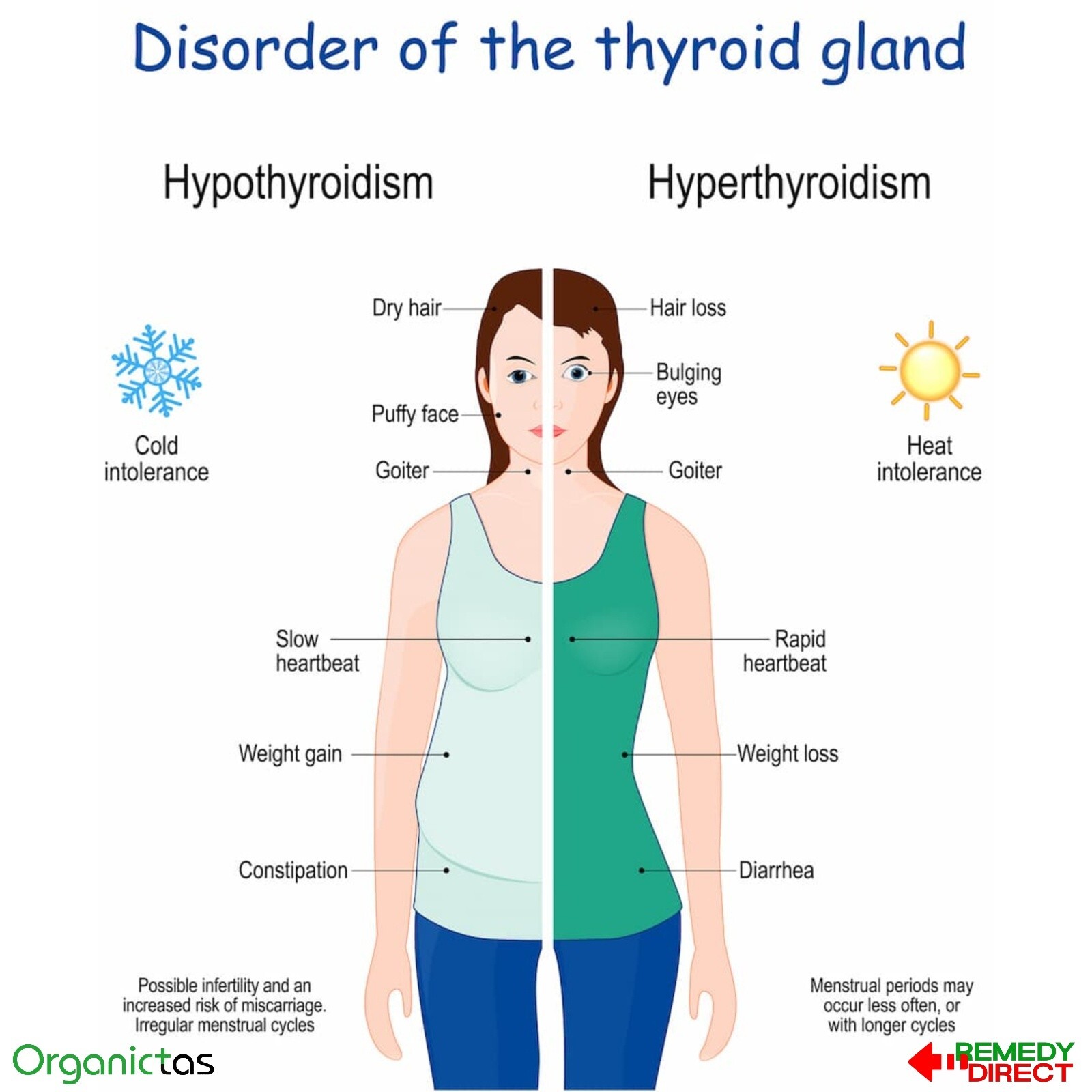 Thyroid Support Herbal Tea / Best Tea for Hormonal Balance, Metabolism & Health