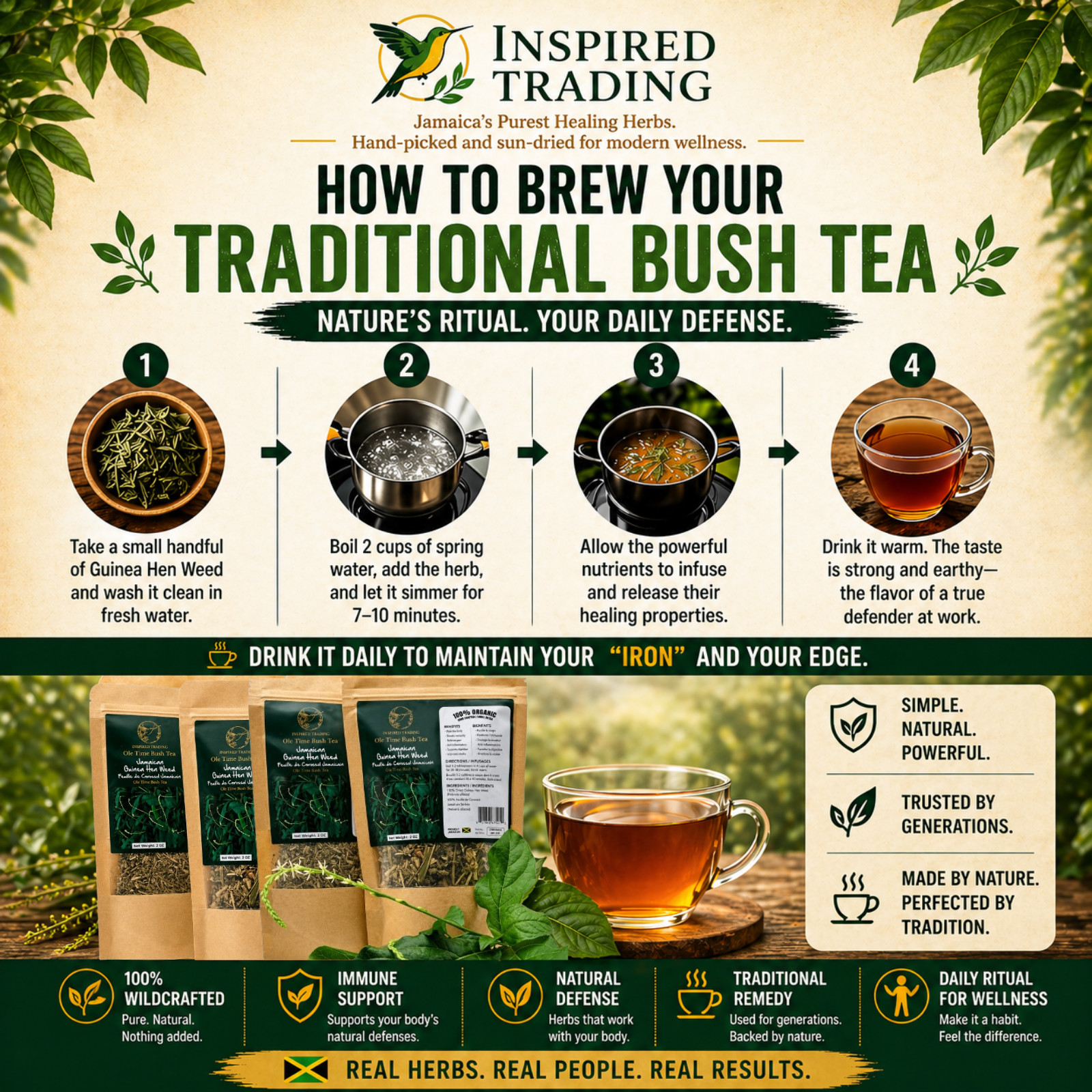 Jamaican Guinea Hen Weed Tea 2 Pack Anamu Leaves Handpicked Available in US & CA